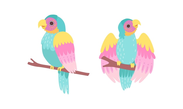 Hermosos loros coloridos sentados en el árbol Brunch Set Aves tropicales exóticas Ilustración vectorial de dibujos animados