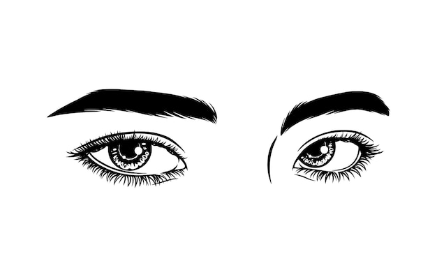 Hermosos ojos femeninos con cejas y pestañas largas mirada sexy ilustración de moda