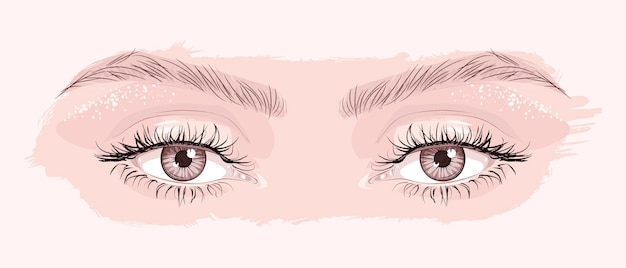 Vector hermosos ojos femeninos dibujados a mano con largas pestañas y cejas negras