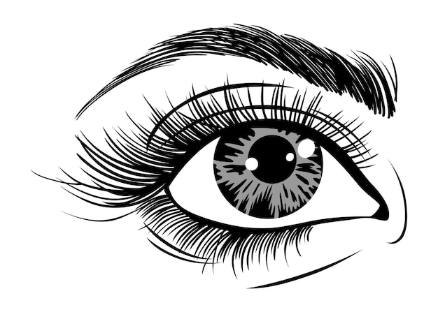 Hermosos ojos femeninos con grandes pestañas y cejas ilustración vectorial