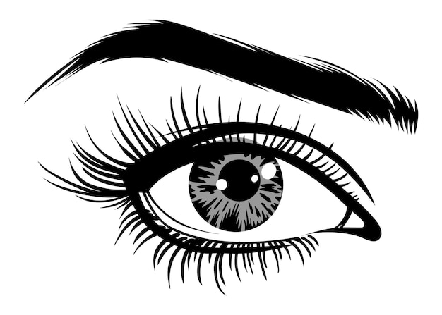 Hermosos ojos femeninos con grandes pestañas y cejas ilustración vectorial