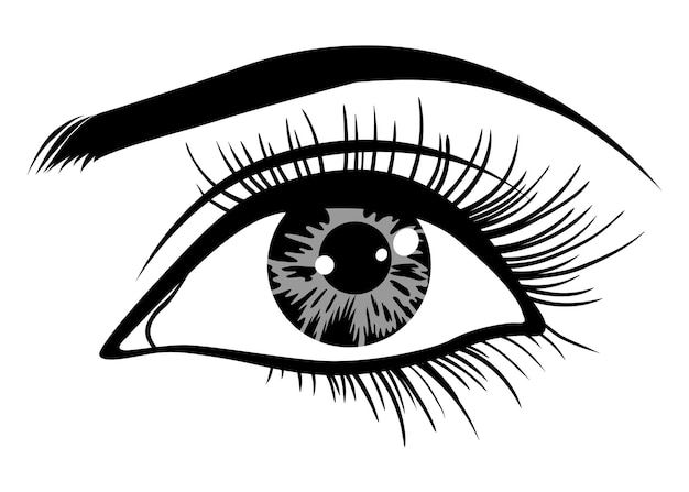 Hermosos ojos femeninos con grandes pestañas y cejas ilustración vectorial