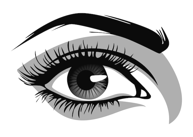 Hermosos ojos femeninos con grandes pestañas y cejas ilustración vectorial