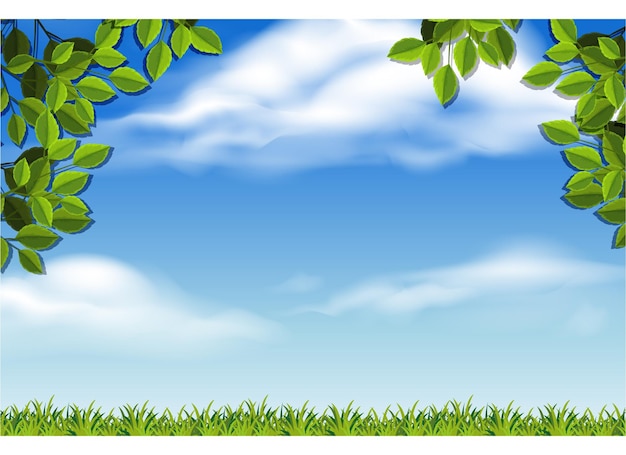 Hermosos paisajes con cielo azul hojas verdes y hierba