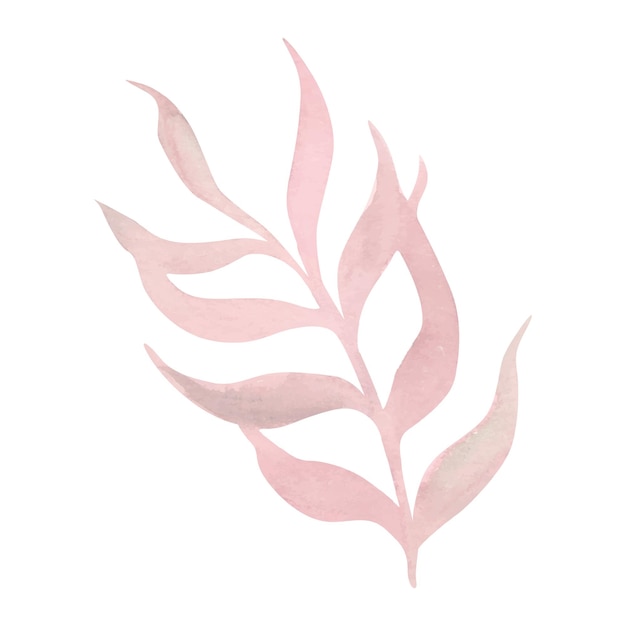 Hermosos ramos de flores y hojas de acuarela Elemento floral de aquarela