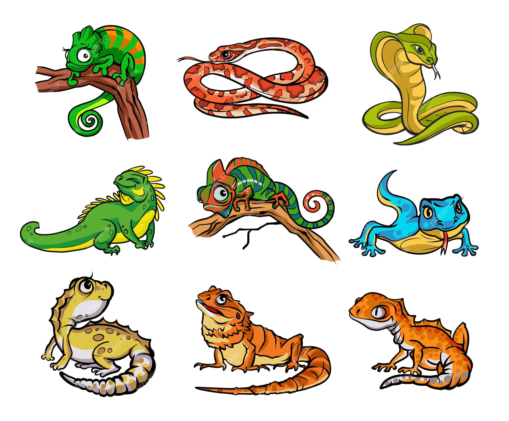 Con hermosos reptiles de dibujos animados diferentes, serpientes y  lagartos. colección con reptiles, serpientes ilustración dibujada a mano.  diseño para papeles pintados, packaging, postales y carteles. naturaleza  salvaje aislado | Vector Premium