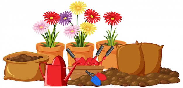 Vector herramientas de jardinería y flores de colores sobre fondo blanco.