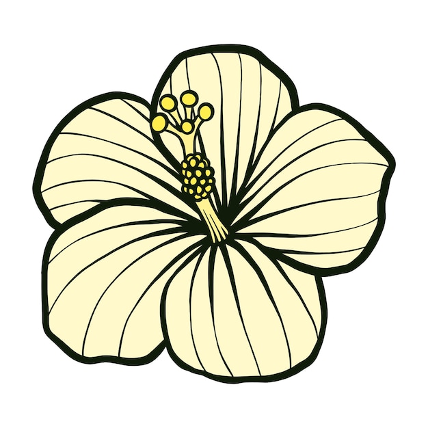 El hibisco es una hermosa ilustración floral