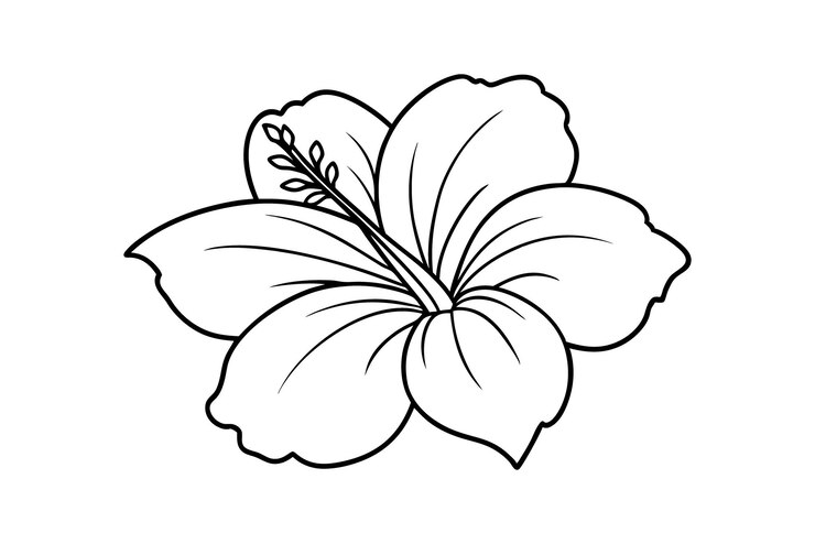 Vector hibiscus line art vector contorno de flores tropicales minimalista diseño botánico en blanco y negro