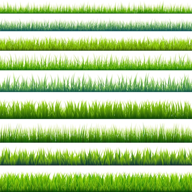 Hierba aislada en blanco conjunto verde prado naturaleza fondo primavera verano tiempo