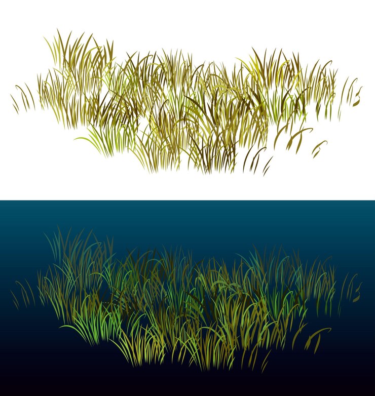 Vector hierba aislada en blanco hierba de vista isométrica para paisajes ilustración de vector de hierba 3d realista