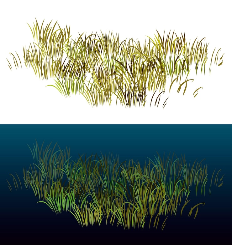 Vector hierba aislada en blanco hierba de vista isométrica para paisajes ilustración de vector de hierba 3d realista