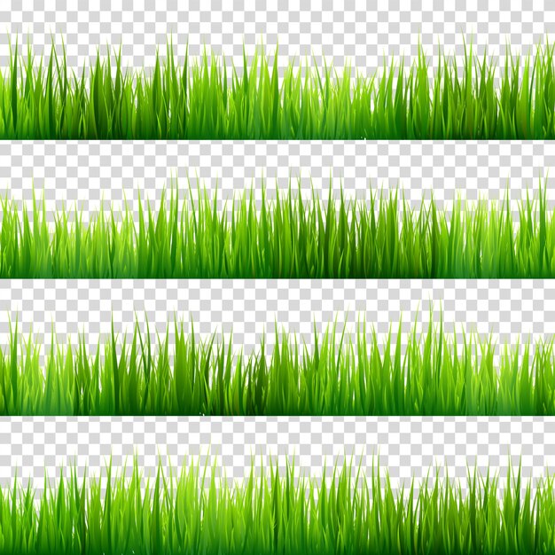 Hierba aislada en un fondo transparente conjunto verde prado naturaleza fondo primavera verano tiempo