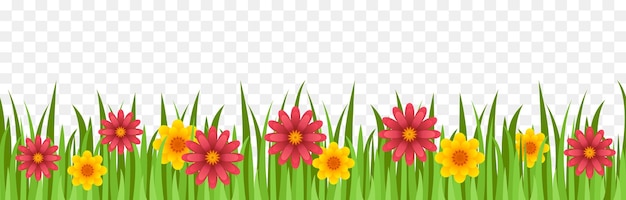 Hierba sin costuras con flores Frontera de hierba y flores Ilustración vectorial