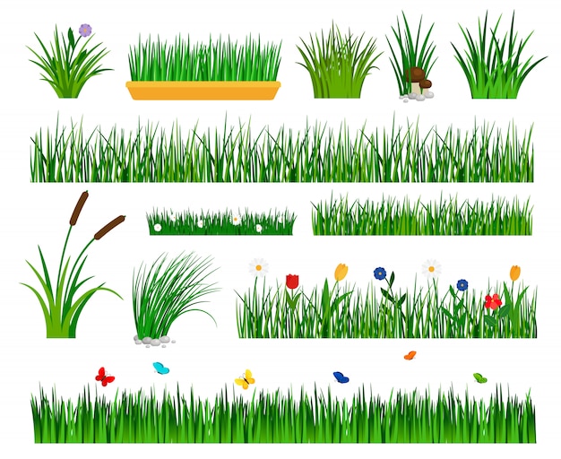 Vector hierba creciente aislada para jardín