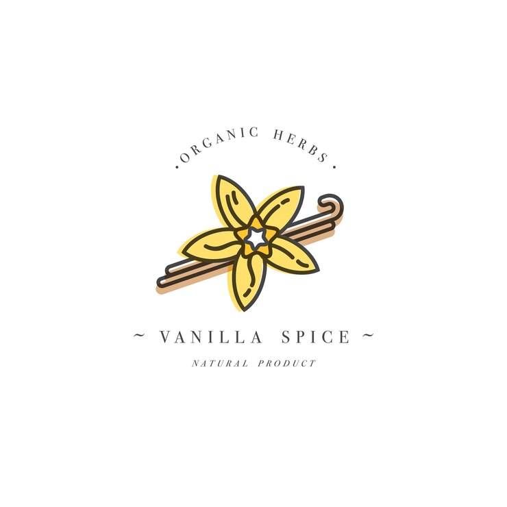 hierba y especias - flor de vainilla y vainas. tipografía e icono en estilo lineal de moda.