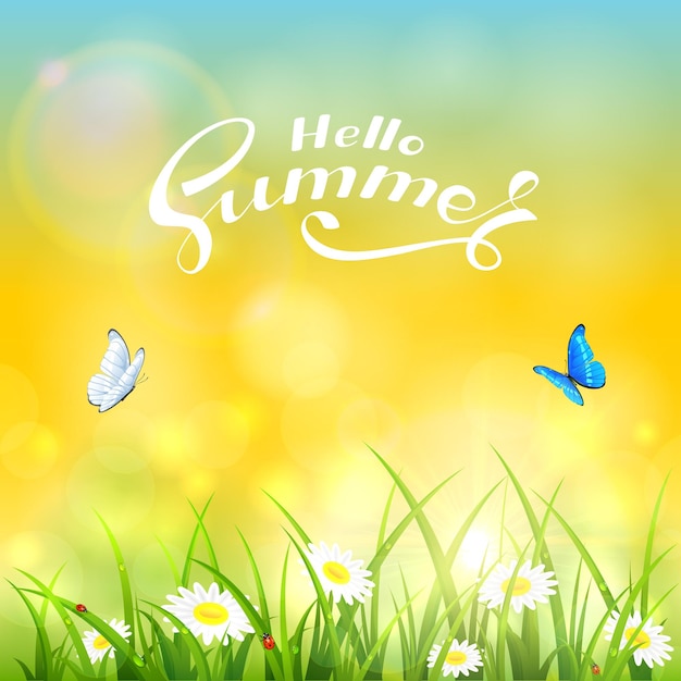 Hierba con flores y texto Hola verano sobre el fondo amarillo de una ilustración de sol brillante