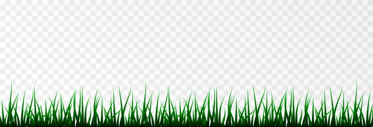 Vector hierba hierba césped campo hierba joven png