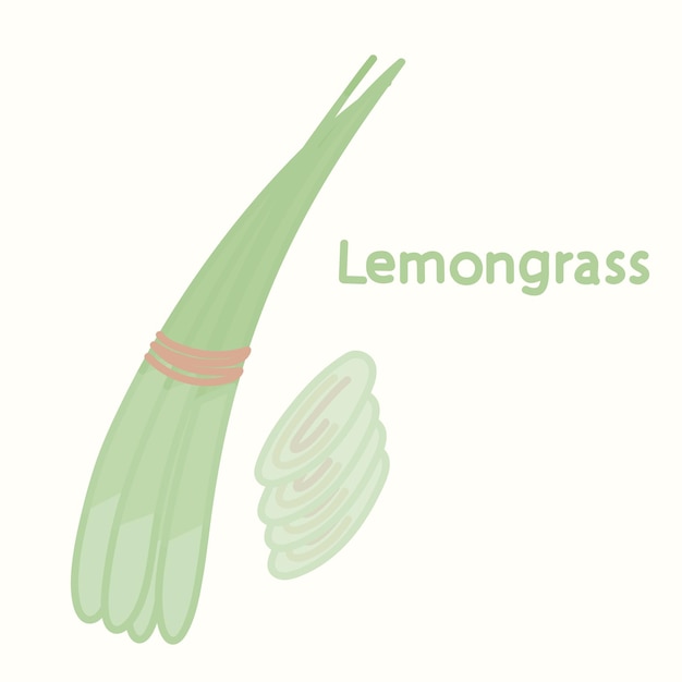 Hierba de limón dibujada a mano. Elemento de comida de diseño de dibujos animados. Conjunto de hierbas y especias. Alimentos orgánicos.
