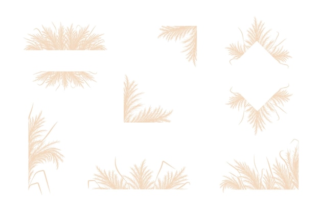 Vector hierba de pampa seca conjunto de diseño de marcos de borde floral cortaderia beige en estilo boho flores vectoriales aisladas sobre fondo blanco plantillas de moda para invitaciones postales pegatinas de redes sociales