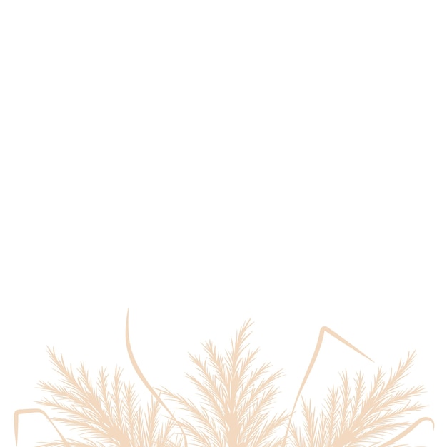 Vector hierba de pampa seca diseño de marco de borde floral tan cortaderia en estilo boho