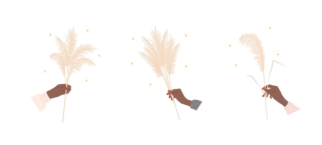 Hierba de pampa seca en manos femeninas africanas Cortaderia beige en estilo boho Vector flor seca sobre fondo blanco Diseño de elementos de moda para invitaciones postales hogar interior redes sociales