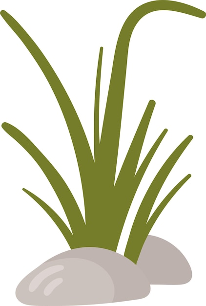 Hierba con piedras