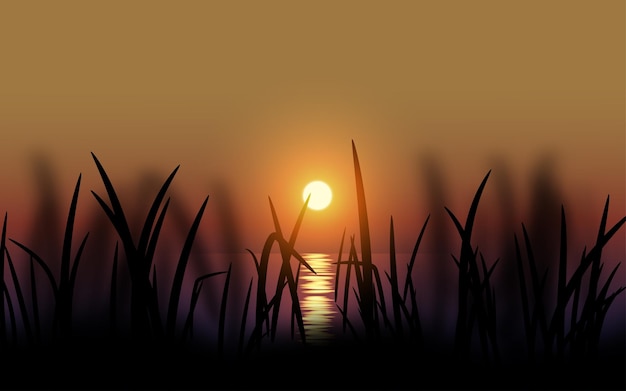 Vector hierba silueta puesta de sol paisaje con reflejo de sol sobre el agua