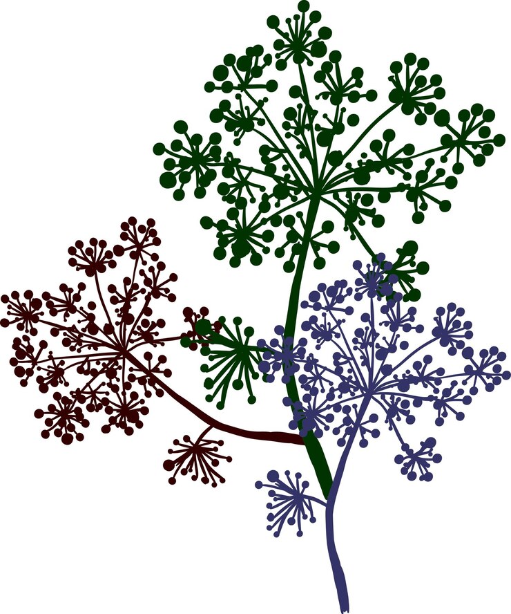 Vector hierba silvestre coloridas siluetas de hierbas secas