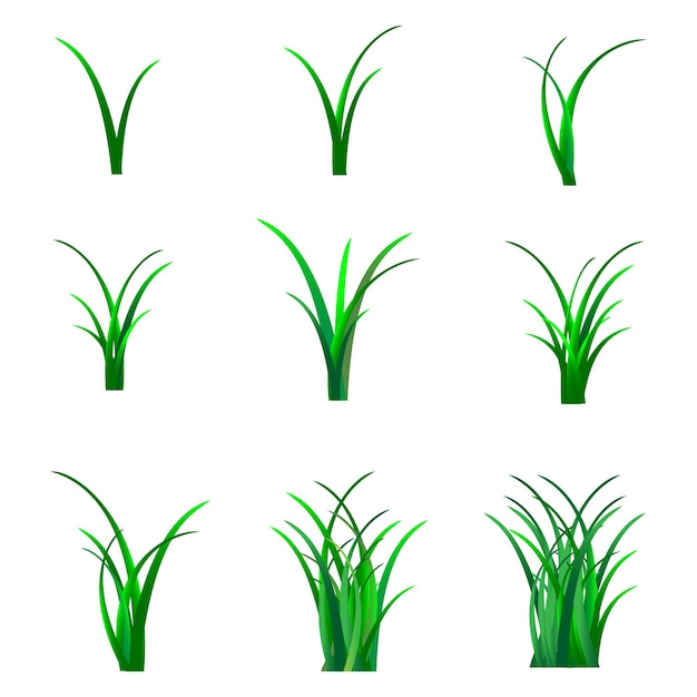 Hierba vectorial sobre fondo blanco hermosa hierba verde joven