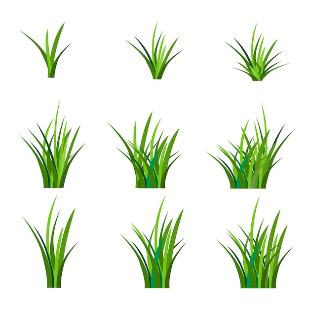 Hierba vectorial sobre fondo blanco hermosa hierba verde joven