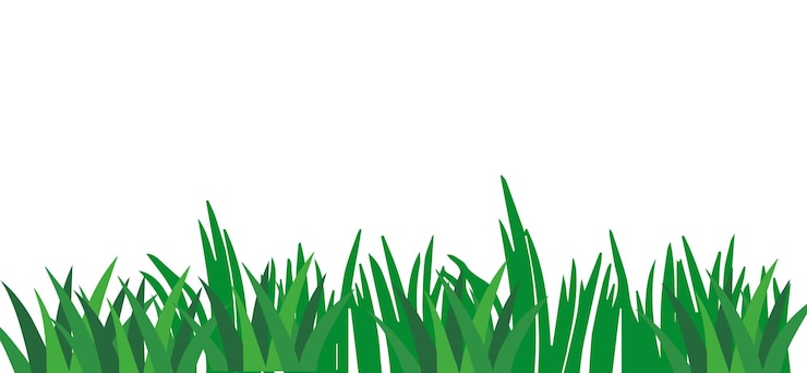 Vector hierba verde aislada en blanco hierba verde realista con fondo blanco renderizado en 3d