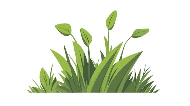 La hierba verde los arbustos los verdes frescos el prado de primavera el césped de verano las plantas de clarete la ilustración vectorial de dibujos animados