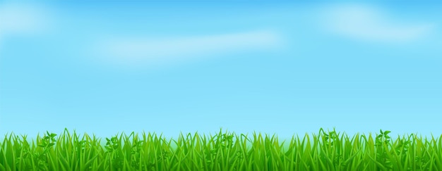 Vector hierba verde en el césped o en el campo de primavera. borde realista de plantas de pradera de verano sobre fondo de cielo azul con nubes.