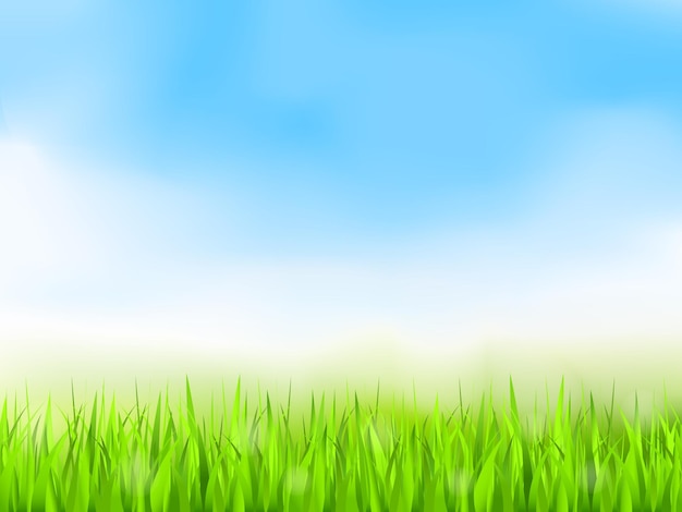 Hierba verde y cielo azul vector de fondo de verano eps10 ilustración malla de gradiente