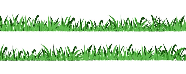 hierba verde sin costuras elementos aislados del campo primavera verano dibujado a mano hierba parque césped prado estilo boceto elementos botánicos aislados para la decoración símbolo ecológico vector dibujo patrón ilustración