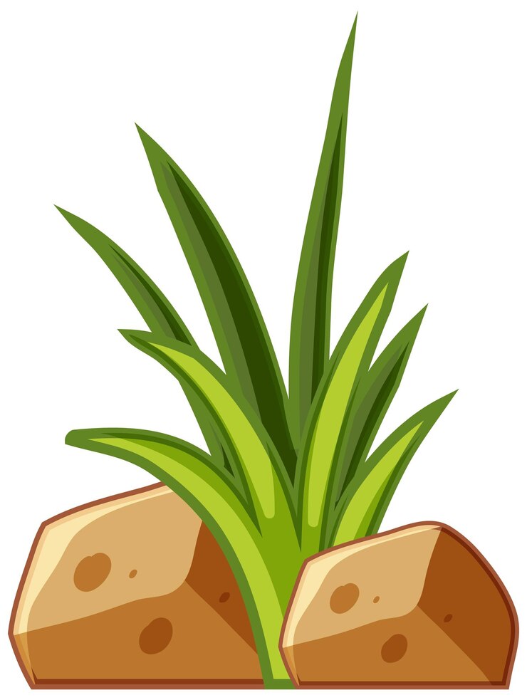 Vector hierba verde en estilo de dibujos animados con piedra
