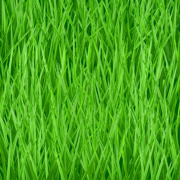 Hierba verde fresca