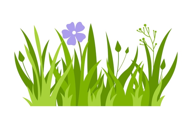 Hierba verde Ilustración Césped verde flores fronteras naturales hierbas