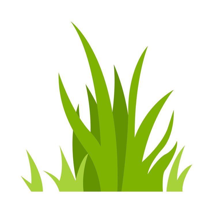 Vector hierba verde ilustración césped verde flores fronteras naturales hierbas