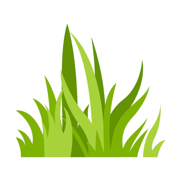 Hierba verde Ilustración Césped verde flores fronteras naturales hierbas