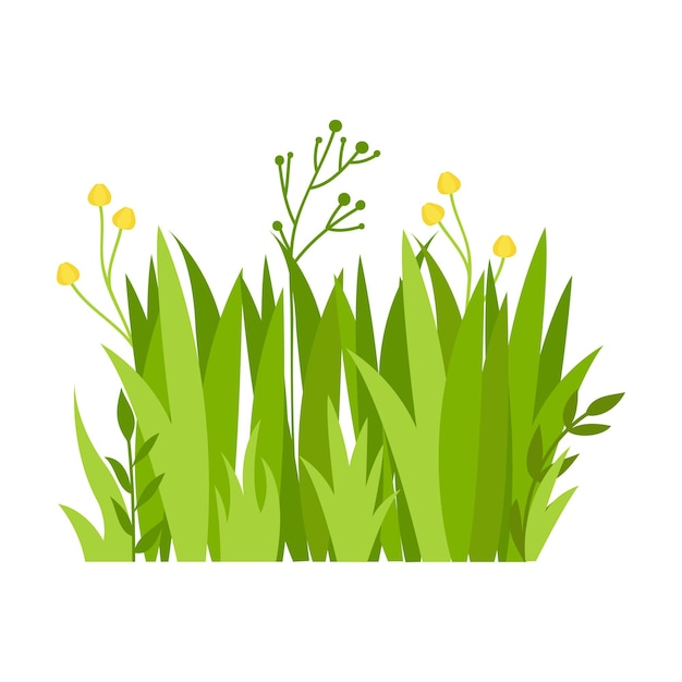 Hierba verde Ilustración Césped verde flores fronteras naturales hierbas