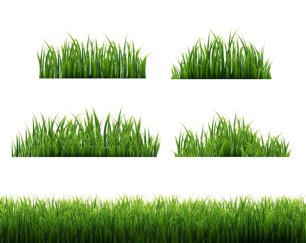Hierba verde marcos fondo blanco, ilustración vectorial