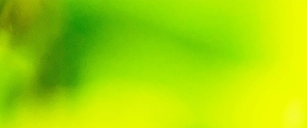 hierba verde en la parte de atrás