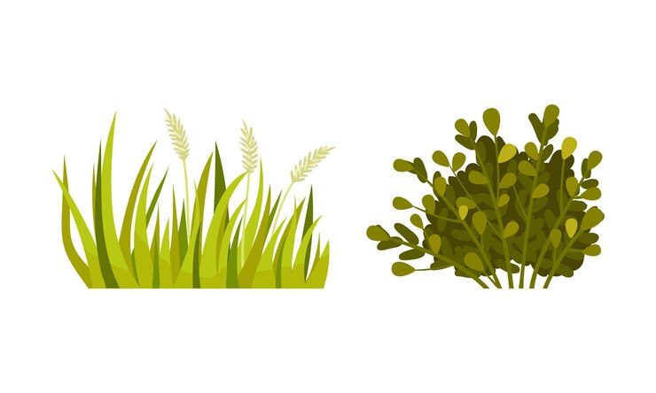 Vector hierba verde con tallo y hojas como conjunto de vectores de crecimiento al aire libre