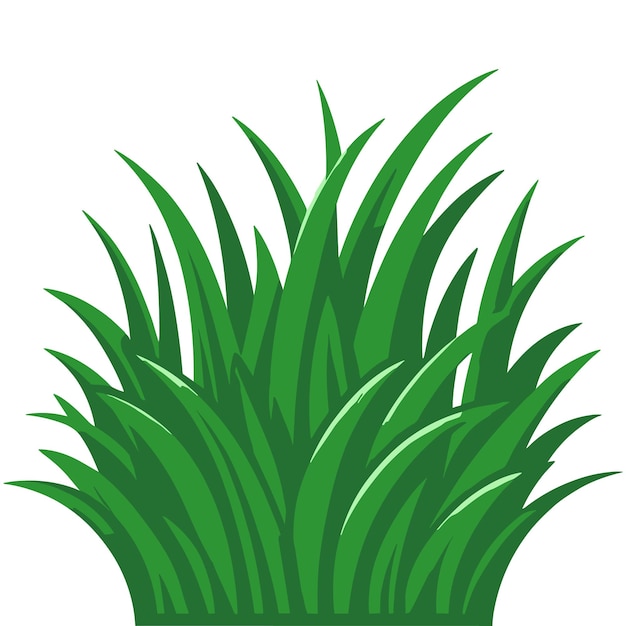 hierba verde