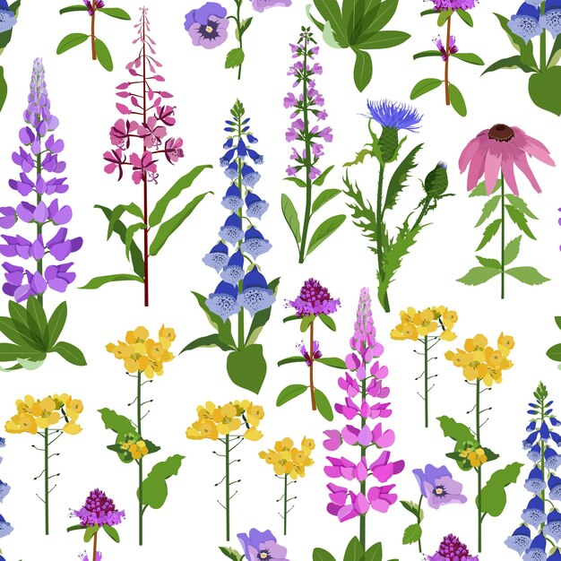 Hierbas de campo y flores sobre un fondo blanco Ilustración vectorial sin costuras