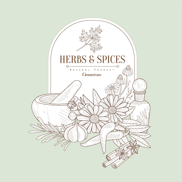Vector hierbas y especias, banner de ilustración