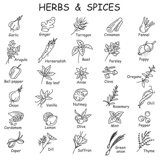 hierbas y especias