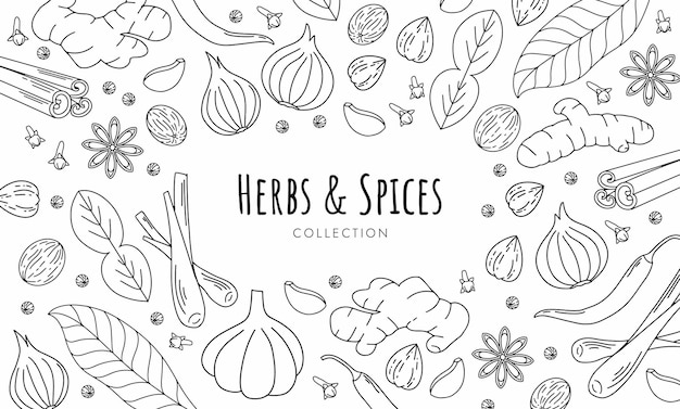 hierbas y especias